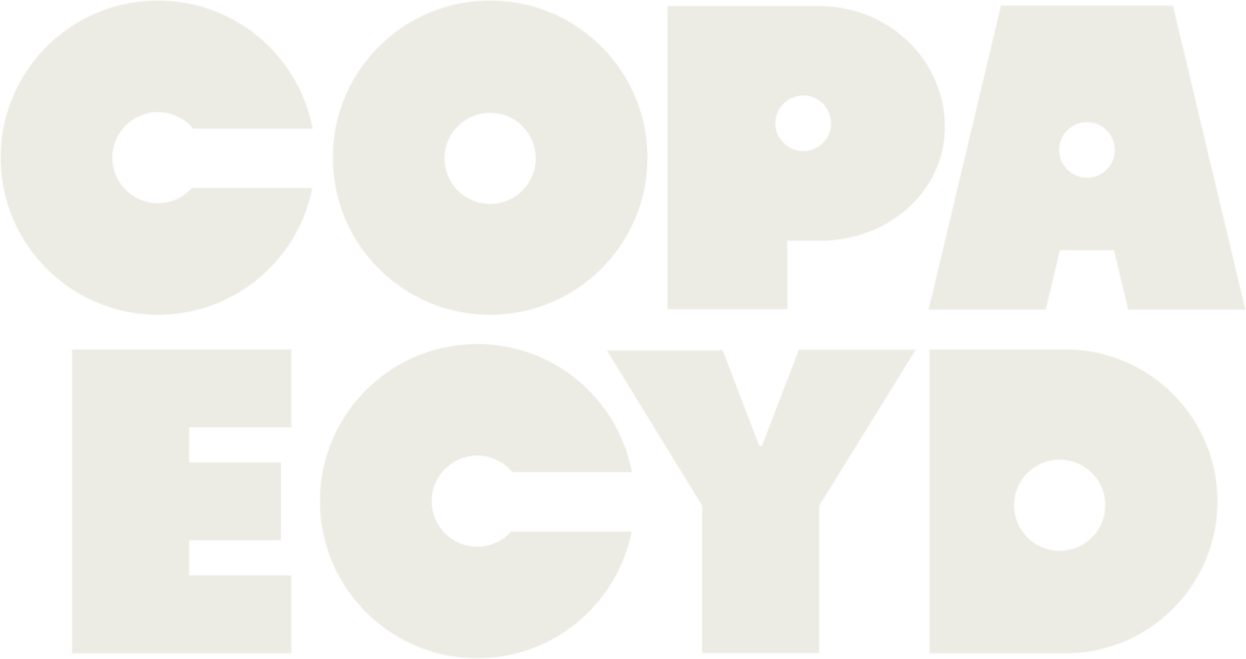 Copa ECyD Mérida